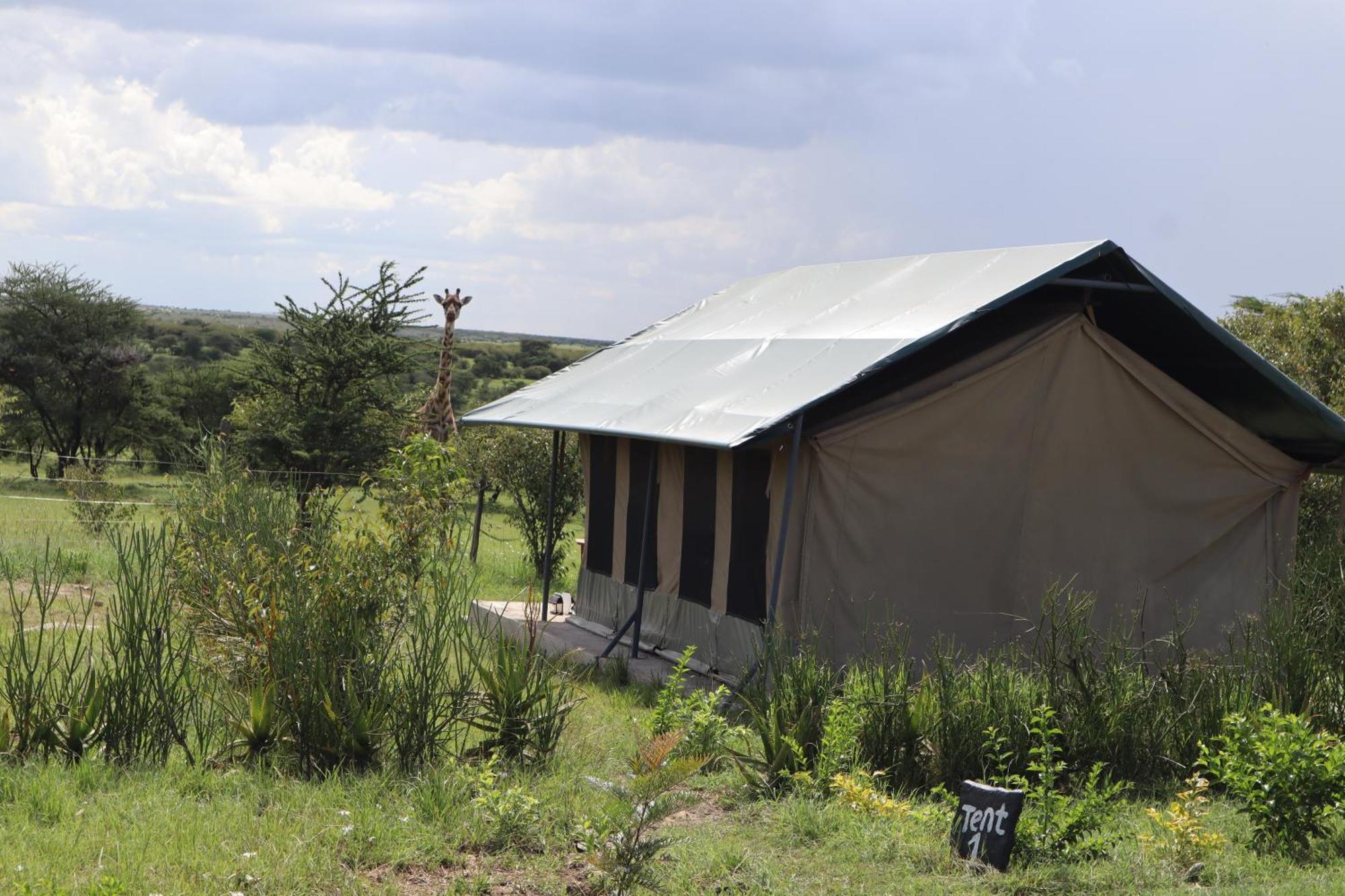 Hotel Kambu Mara Camp Sekenani Zewnętrze zdjęcie